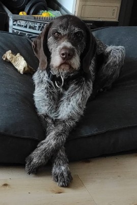 Happy End Geschichten IMG-20210414-WA0018