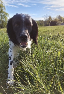 Happy End Geschichten Screenshot_20210530-112831_Gallery