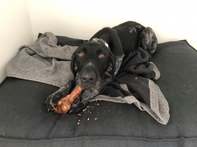 Happy End Geschichten Duke3