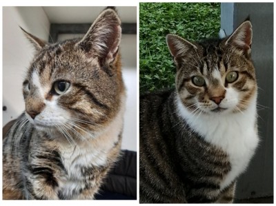 Happy End Geschichten Collage_20210417_103520