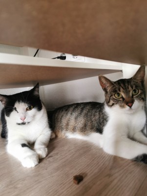 Happy End Geschichten IMG_20210428_151755