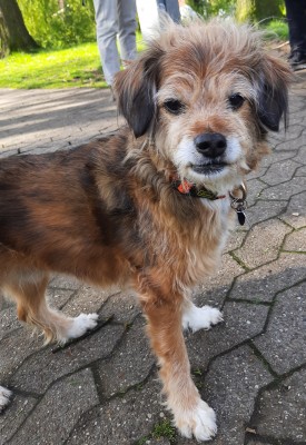 Happy End Geschichten 20210509_090707