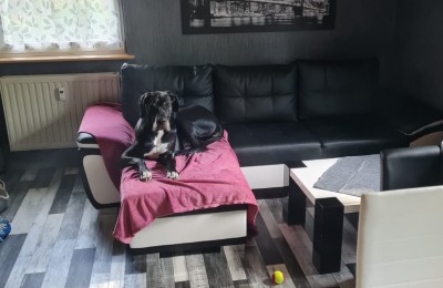 Happy End Geschichten IMG-20210509-WA0014_(002)