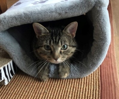 Happy End Geschichten IMG_2537_(002)