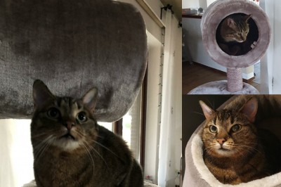 Happy End Geschichten IMG_20210424_105859_(002)