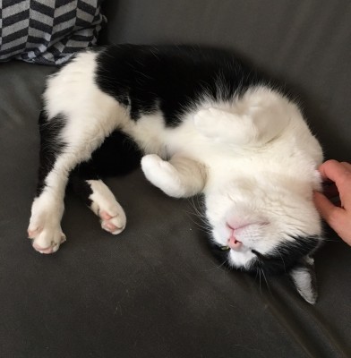 Happy End Geschichten IMG_6745