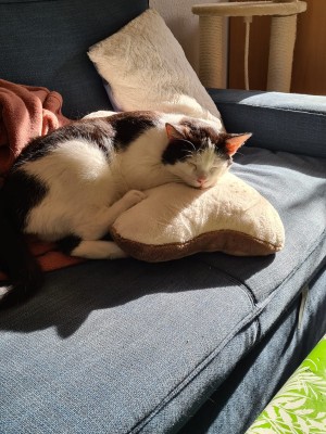 Happy End Geschichten IMG-20210521-WA0048