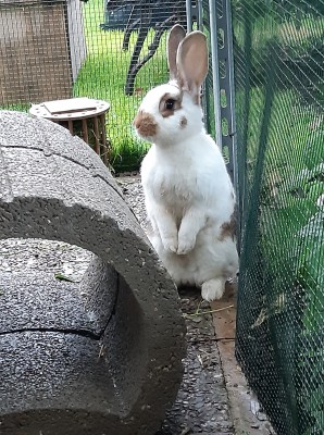 Happy End Geschichten 20210523_081434_(002)