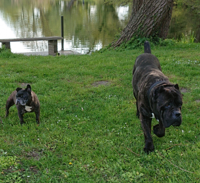 Happy End Geschichten Screenshot_20210601-100955