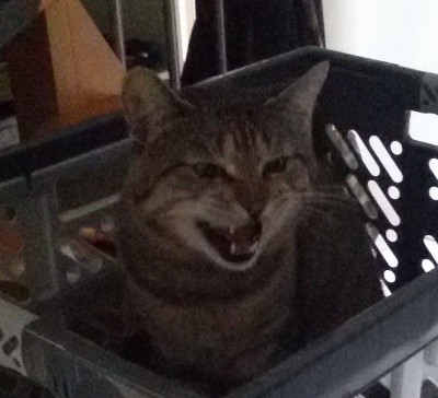 Happy End Geschichten 20180922_142629_a