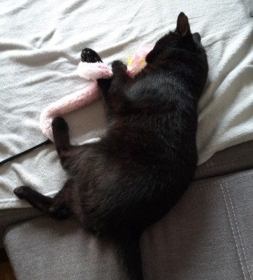 Happy End Geschichten IMG_20180830_094341_resized_20180920_124617972_a