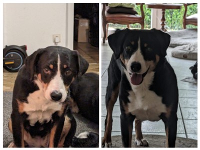 Happy End Geschichten IMG-20240218-WA0007