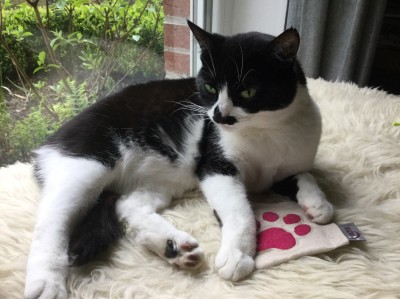 Happy End Geschichten smilla