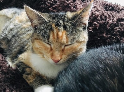 Happy End Geschichten IMG_5575