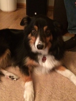 Happy End Geschichten Leo