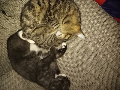 Happy End Geschichten 20240218_192038