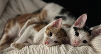 Happy End Geschichten IMG_1831