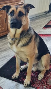 Externe Tiere 20230810_103401_1_