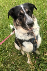 Externe Tiere 20240603_111144