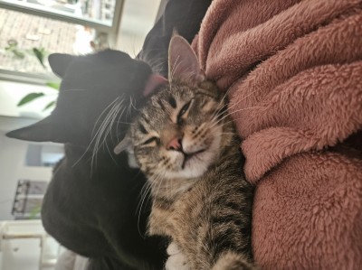 Happy End Geschichten 1000039981