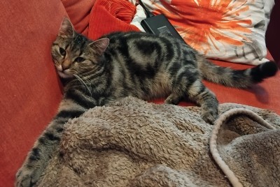 Happy End Geschichten Foto1