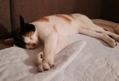 Happy End Geschichten 20240812_220554