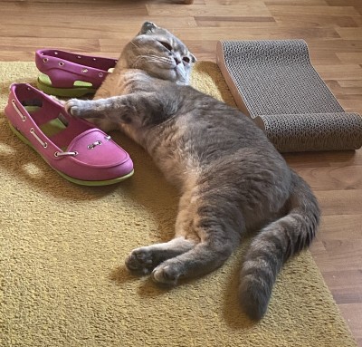 Happy End Geschichten IMG_1787