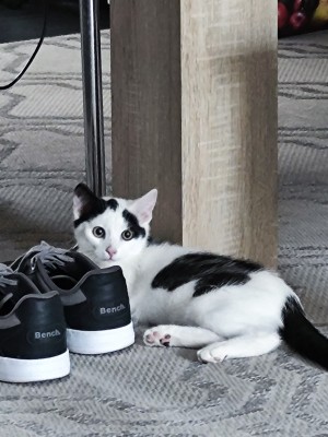 Happy End Geschichten Kyle