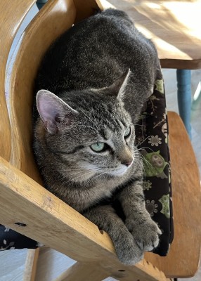 Happy End Geschichten IMG_0674