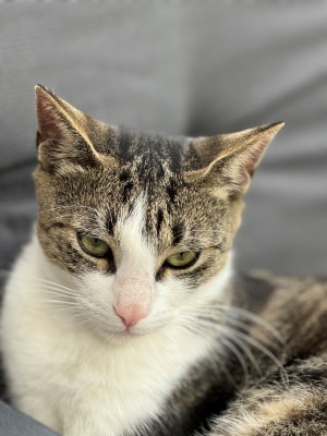 Happy End Geschichten Joshy