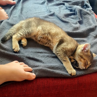 Happy End Geschichten 20240831_143753