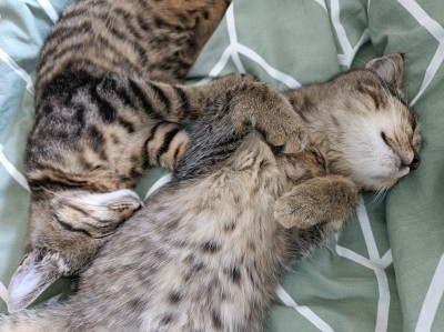 Happy End Geschichten Martha