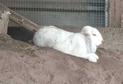 Happy End Geschichten Emil_