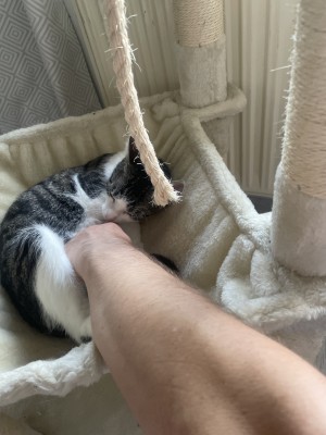 Happy End Geschichten Anhang_2