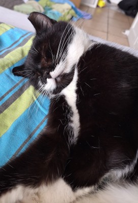 Happy End Geschichten 20240418_141817