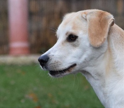 Happy End Geschichten Dorin__3_