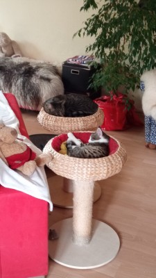 Happy End Geschichten IMG_20240912_121916_767