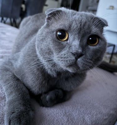 Happy End Geschichten IMG_2802