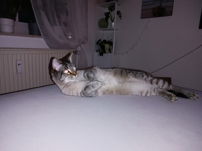 Happy End Geschichten 1000054908