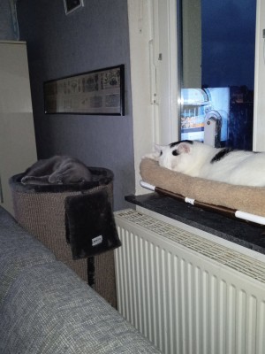 Happy End Geschichten IMG_20240910_201107784_MFNR