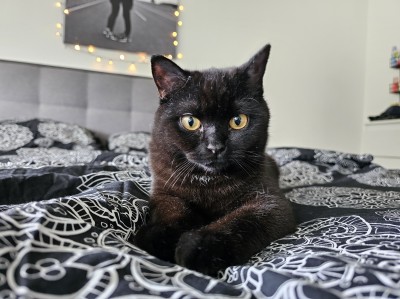 Happy End Geschichten 20240222_123913