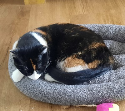 Happy End Geschichten 1000099176