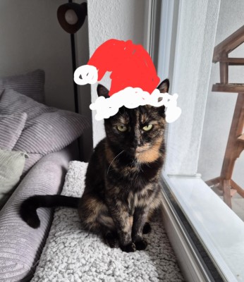 Happy End Geschichten 2