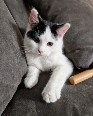 Happy End Geschichten 1000171238