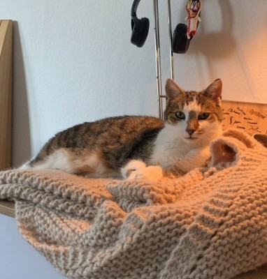 Happy End Geschichten BA888F52-8542-4D04-9D42-AB91DBDF72F9