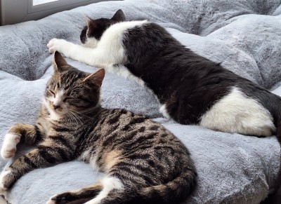 Happy End Geschichten 20241204_114031