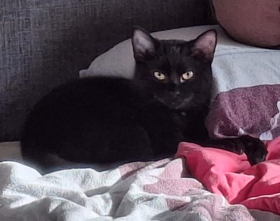 Happy End Geschichten 20241105_140649