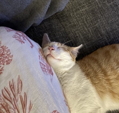 Happy End Geschichten IMG_7148