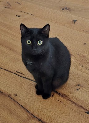 Happy End Geschichten Cher1