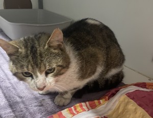 Aktuelle Fundtiere IMG_1884